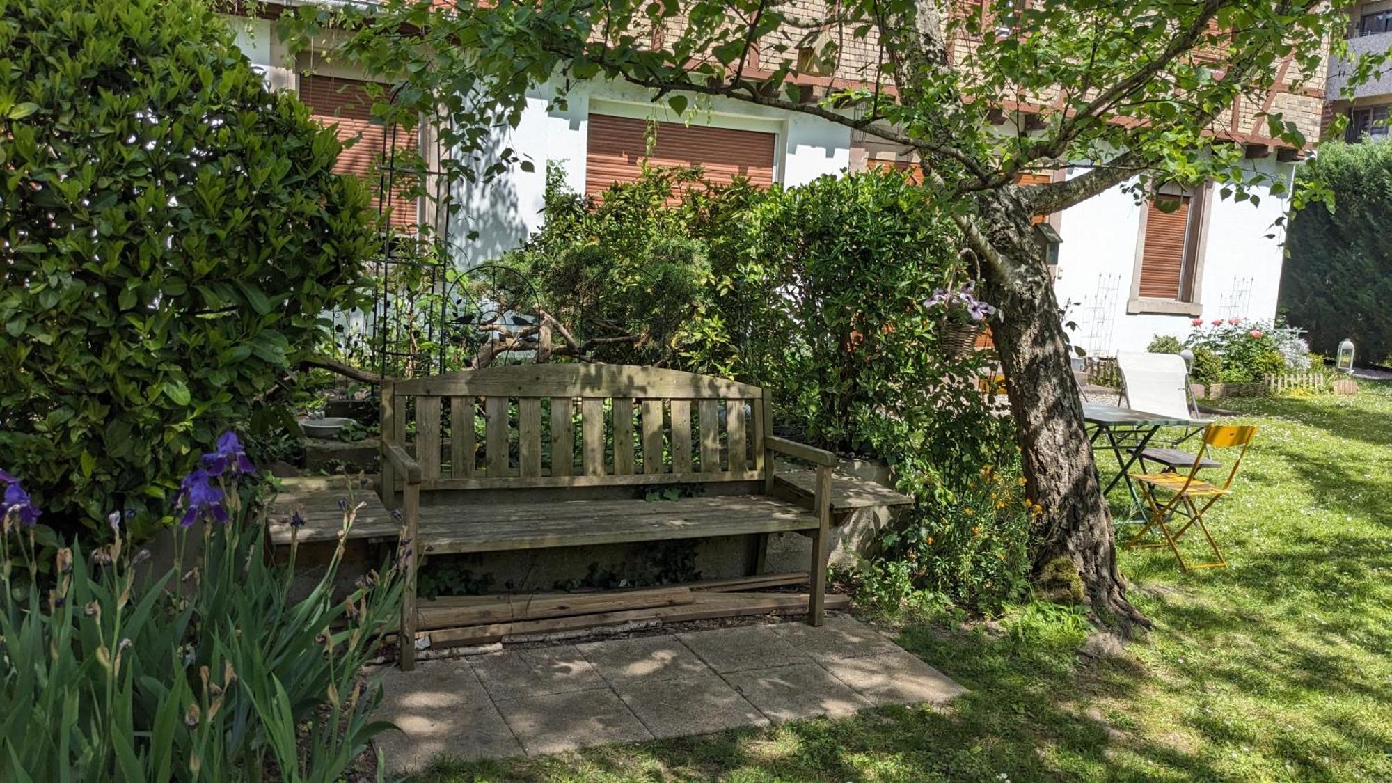 Le Petit Parc Daire Colmar Dış mekan fotoğraf